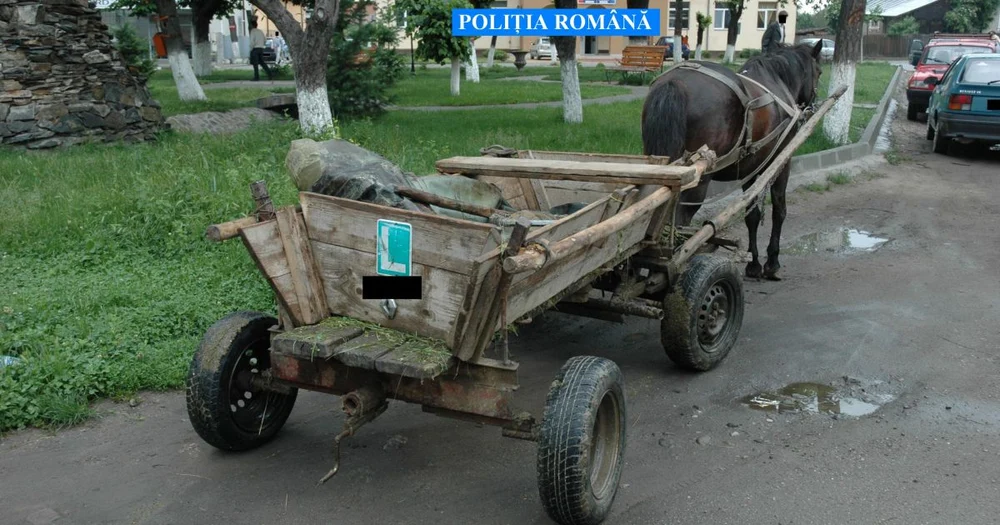 Un copil de 12 ani a fost izbit de o mașină după ce a căzut dintr-o căruță aflată în mers