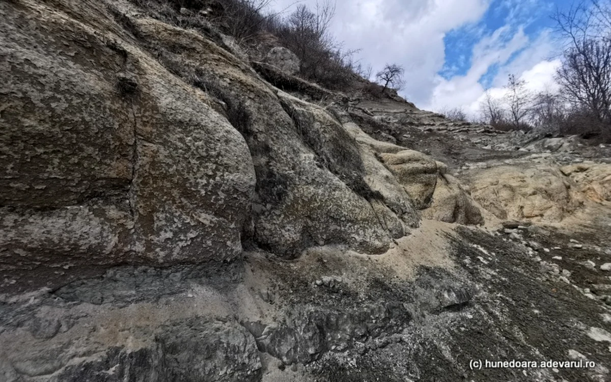 valea dinozaurilor foto daniel guta adevarul