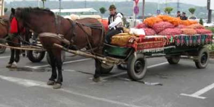 Cartofii agricultorilor suceveni au rămas în depozite
