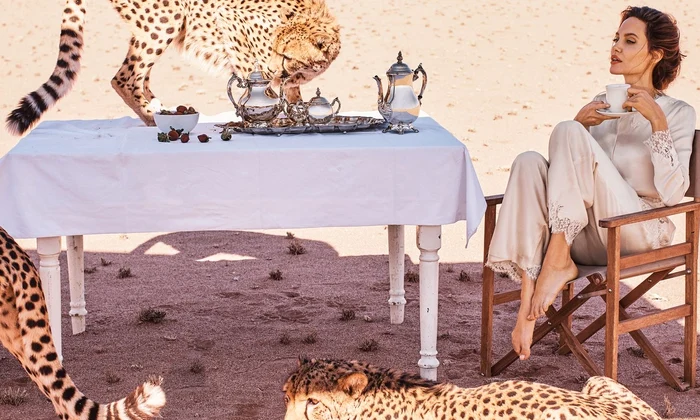 angelina jolie Harper’s Bazaar 1 jpeg