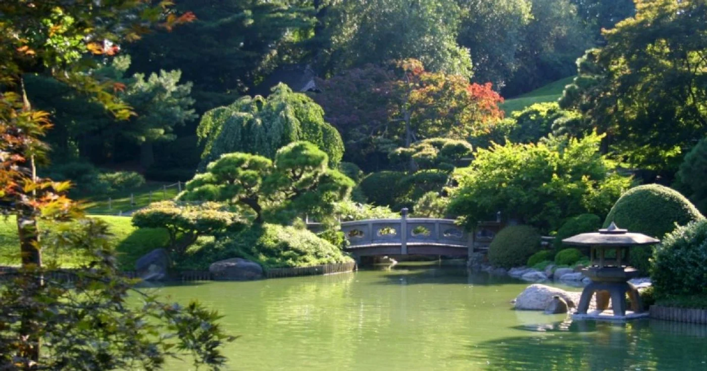 gradina japoneza