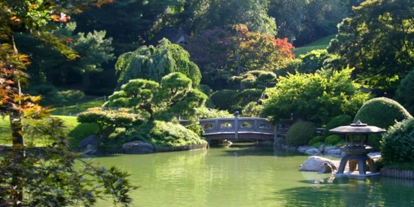gradina japoneza