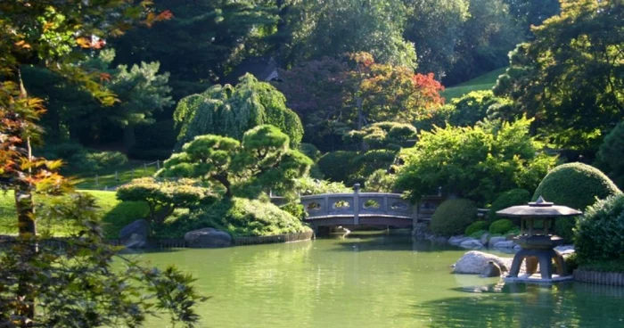 gradina japoneza