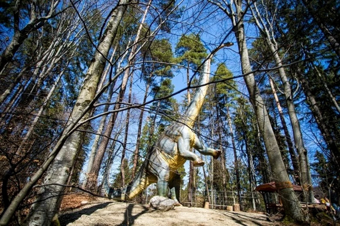 Diplodocus dinozarul înalt de 11 metri FOTO Dino Parc Râşnov