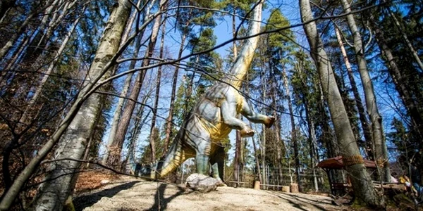 Diplodocus dinozarul înalt de 11 metri FOTO Dino Parc Râşnov