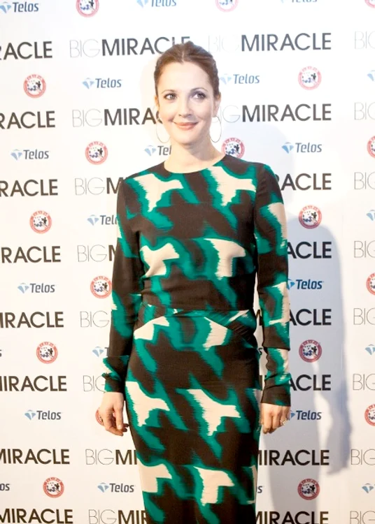
    Drew Barrymore (39 de ani) vrea să se dedice creşterii copiilor eifoto: AFP  