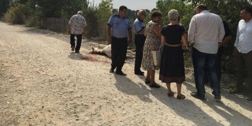 Calula fost omorât în bătaie şi abandonat