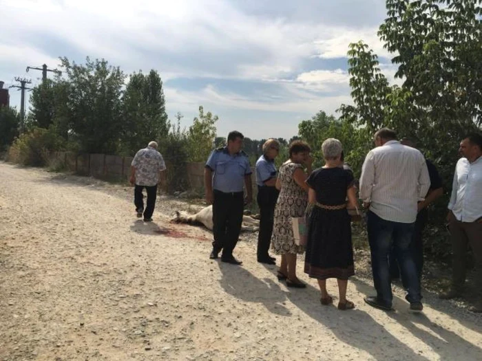 Calula fost omorât în bătaie şi abandonat