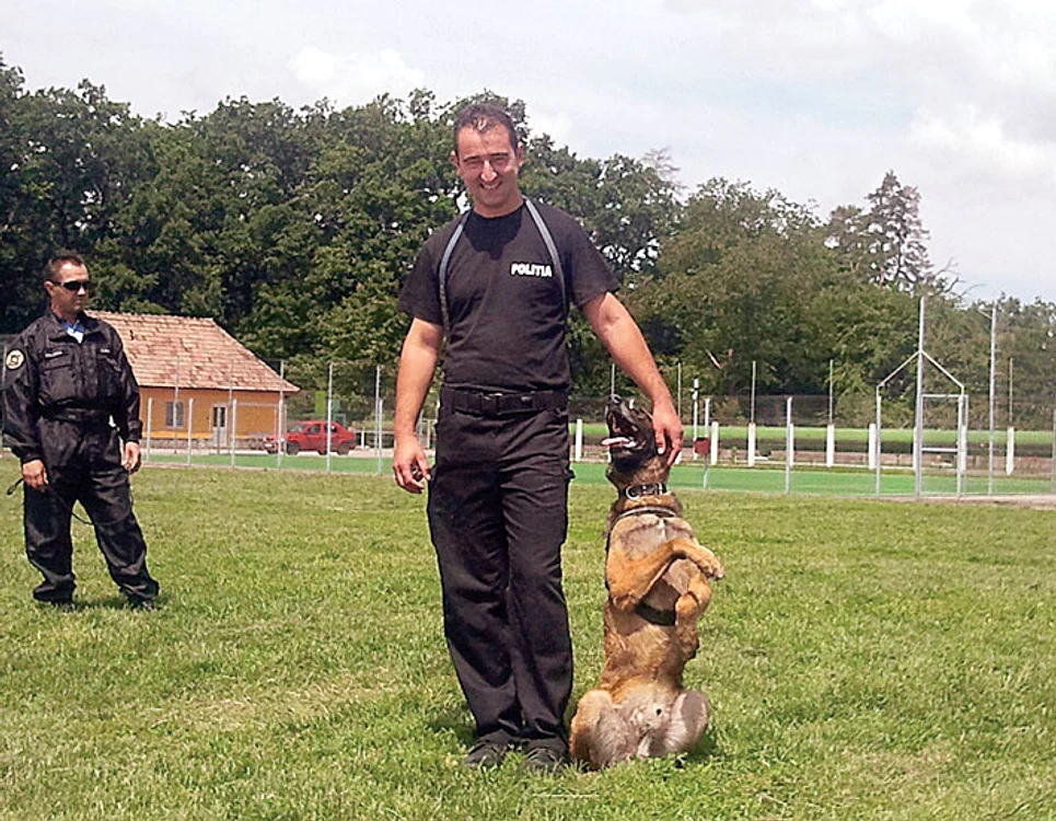 Câinii provin  de la Centrul  Chinologic  de la Sibiu,  unde sunt  pregătiţi  poliţiştii canini 