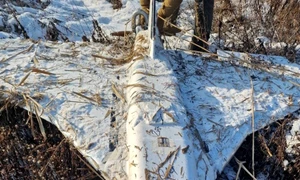 drona gerbera/FOTO:X