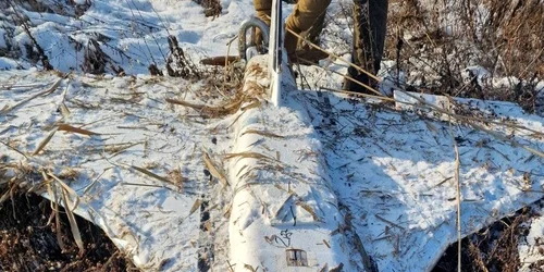 drona gerbera/FOTO:X