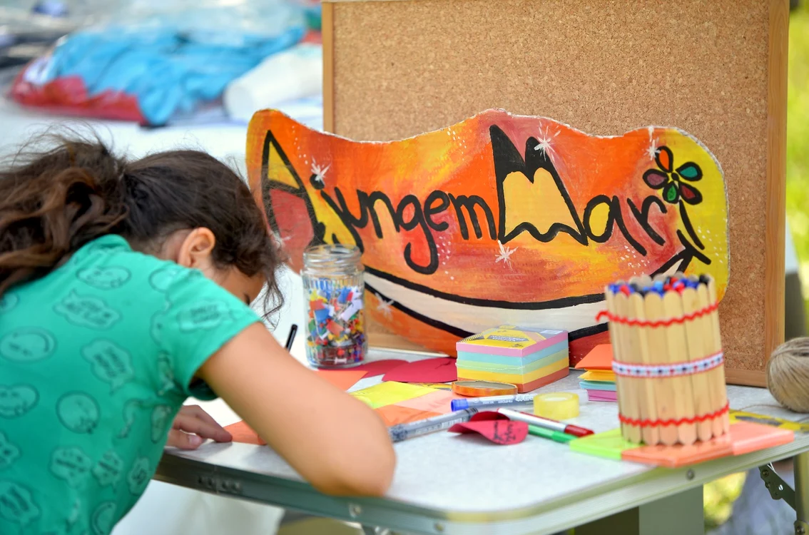 Programul educaţional „Ajungem MARI“, Asociația Lindenfeld 