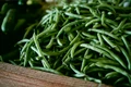 vegetables 642119 640 jpeg