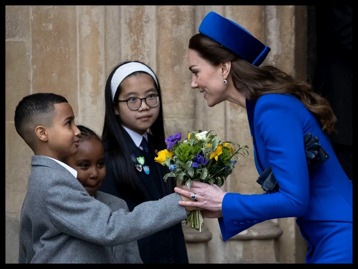 1 profimedia 0669631096 jpg jpeg