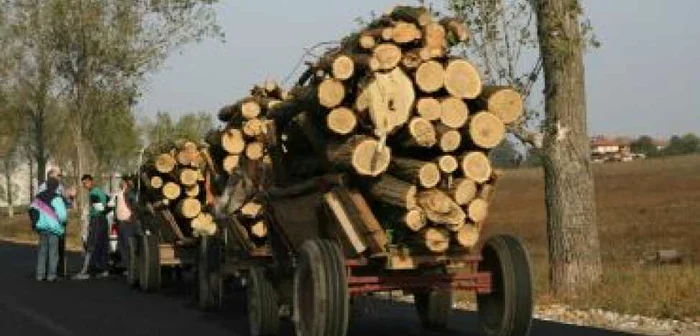 Buzău: Bărbat cercetat pentru furtul unor goruni