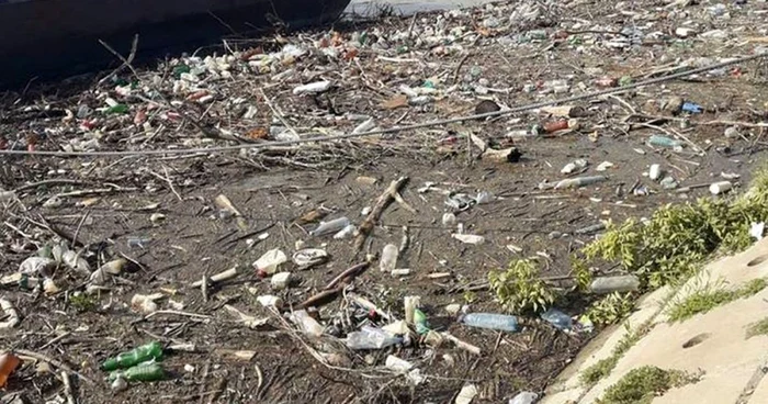 Gunoaie la malul Dunării la Galaţi FOTO Costel Crângan