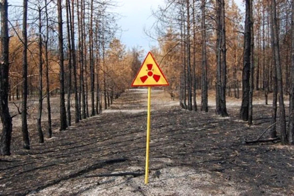 
    Rusia își dorește să realizeze un serial pe baza catastrofei Cernobîl  