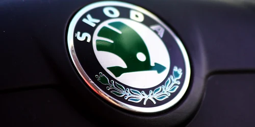 Skoda simbol