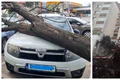 vijelie bucuresti jpg