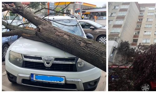 vijelie bucuresti jpg