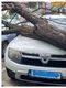 vijelie bucuresti jpg