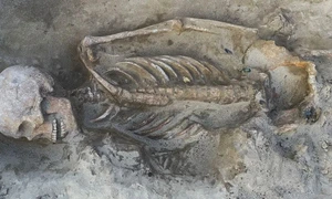 Mormintele unor războinici de elită, vechi de 1.100 de ani, descoperite în Ungaria (© Ágnes Füredi)