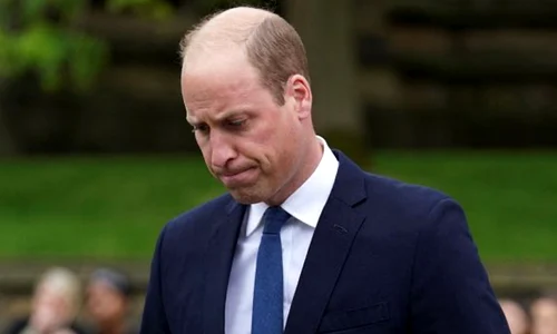 Printul William, foto Pinterest jpg