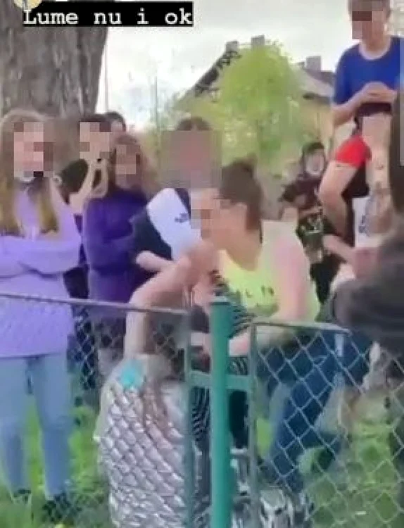 O adolescentă a fost bătută de alte două în faţa prietenilor FOTO captură video
