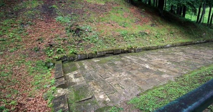 Sarmizegetusa Regia pentru Nicolae Ceauşescu