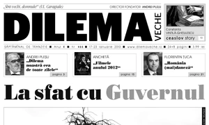 La sfat cu Guvernul jpeg