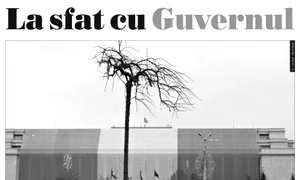 La sfat cu Guvernul jpeg
