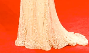 CLIIMA20130723 0058 1 jpeg