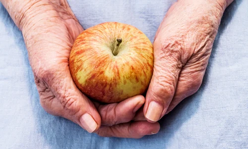 shutterstock 2143470125 jpg