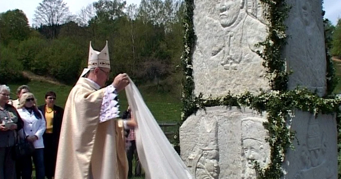 poloni poiana micului. FOTO