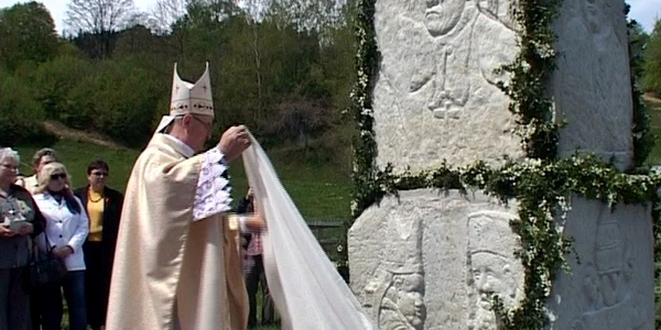 poloni poiana micului. FOTO