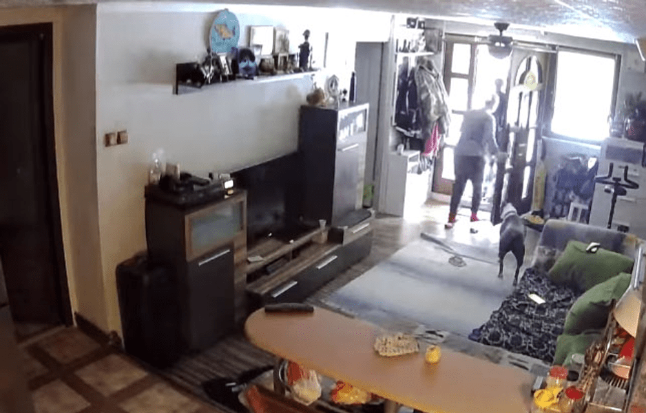 Cutremurul din Gorj, înregistrat pe o cameră video dintr-o locuință din Hațeg VIDEO