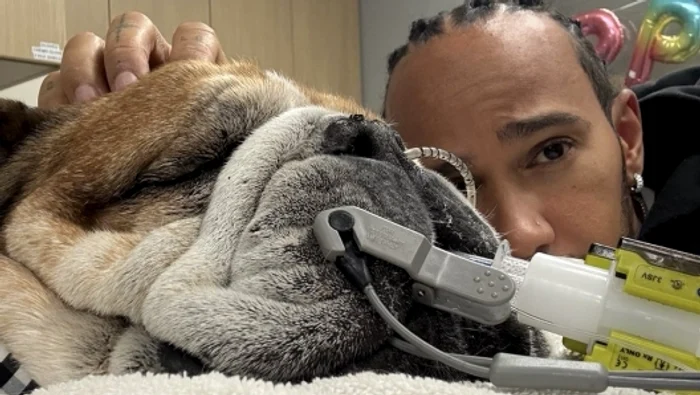 Roscoe și Lewis, legați de o prietenie trainică