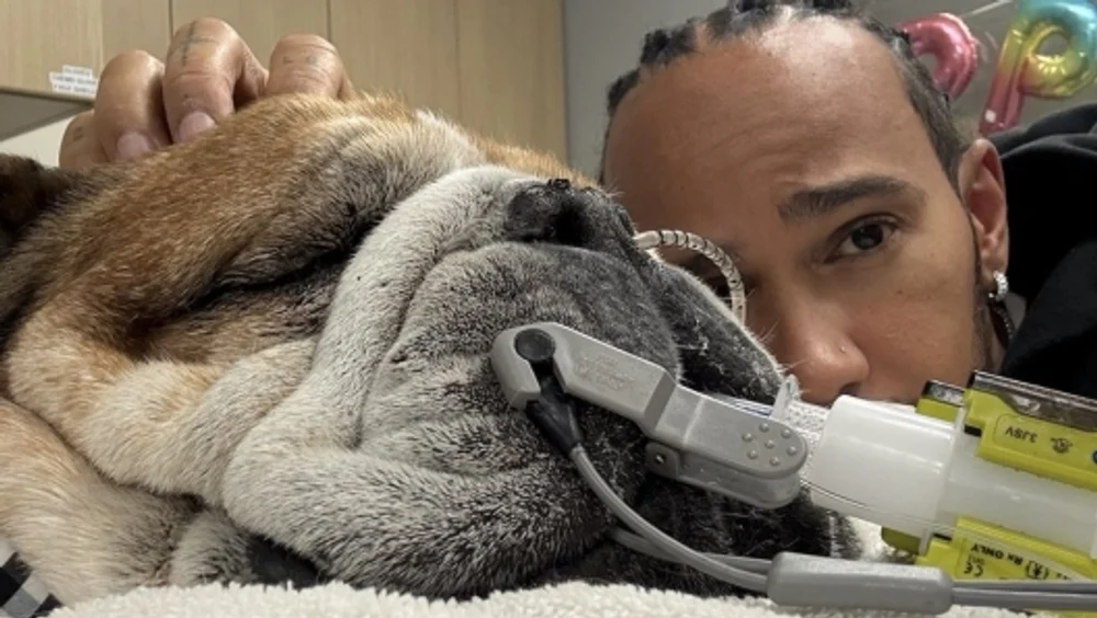 Lewis Hamilton și-a pierdut cel mai bun prieten. Roscoe a murit în brațele pilotului, după patru zile de suferință
