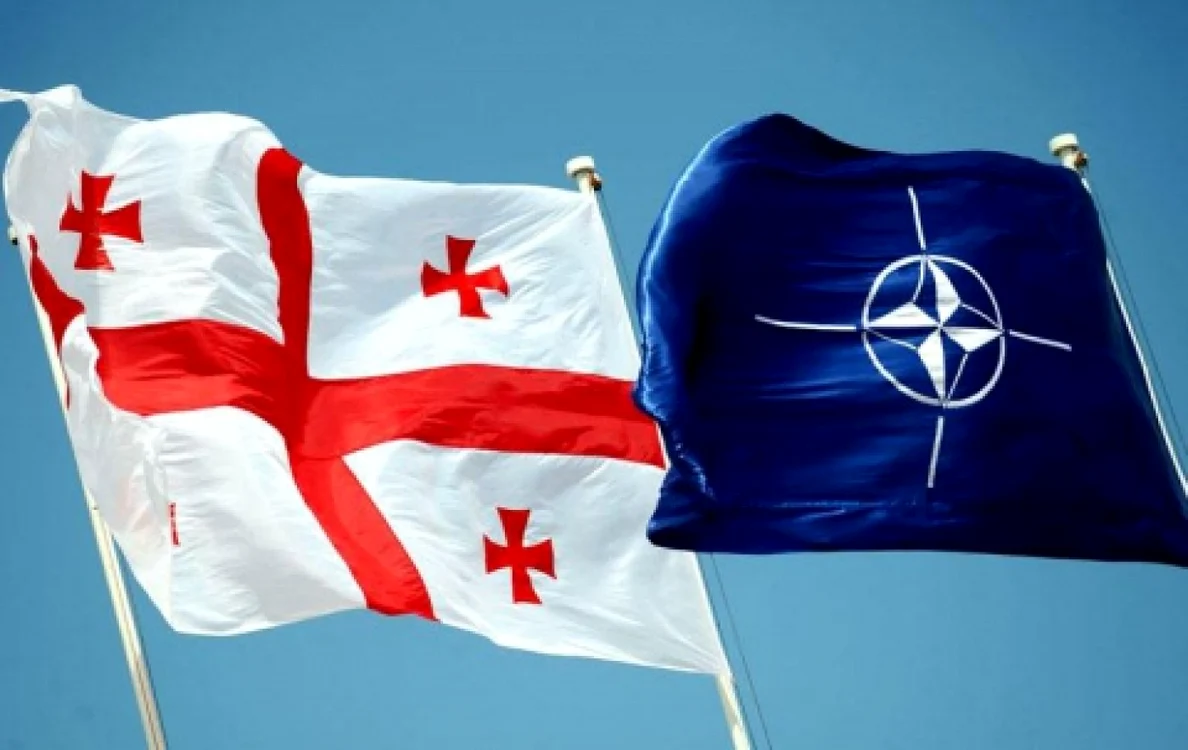 georgia nato