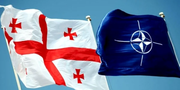 georgia nato