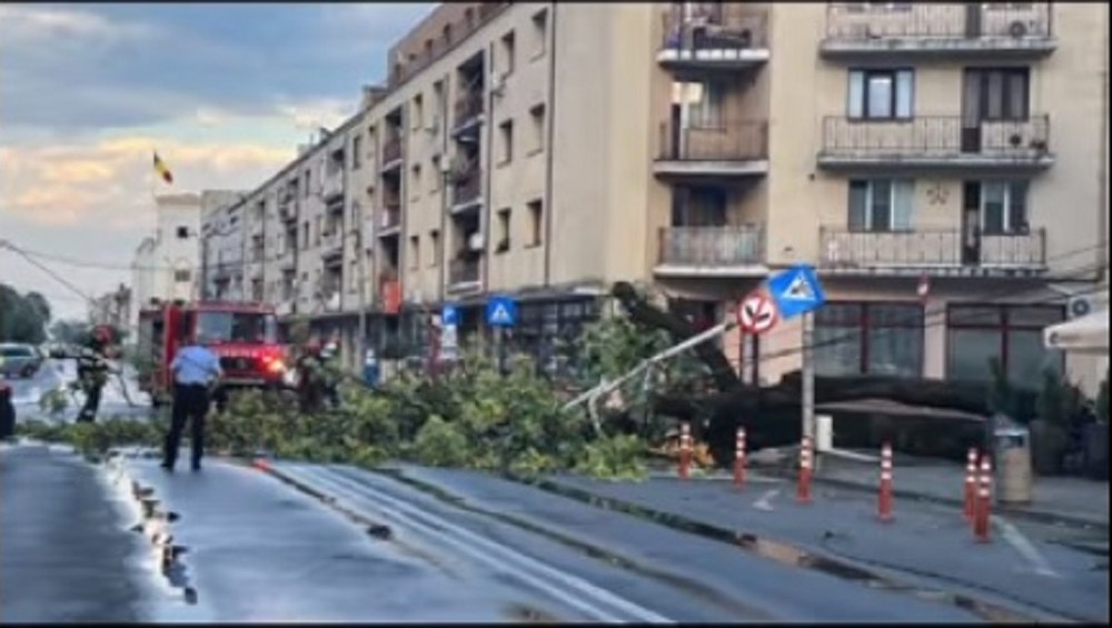 Mai multe străzi blocate în Satu Mare, din cauza copacilor doborâți de furtună