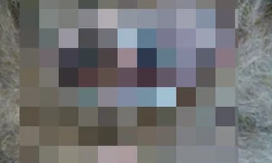 CLIIMA20140105 0120 1 jpeg
