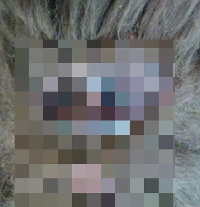 
    Rick Dyer spune că l-a omorât pe Bigfoot în 2012, dar abia acum a făcut publică fapta lui  