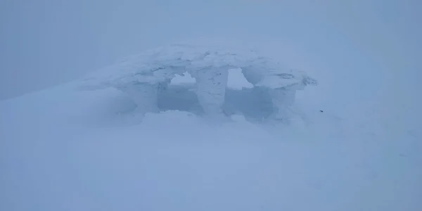 Viscol lamunte. Foto Salvamont Hunedoara 