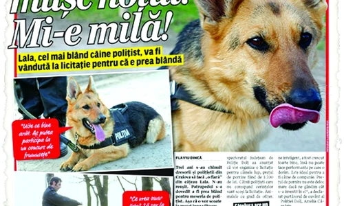 Lala, cel mai  blând câine poliţist jpeg
