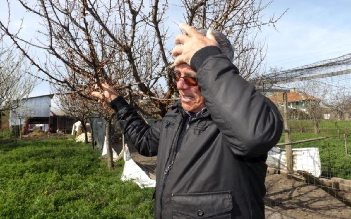 Foto: arhivă Adevărul