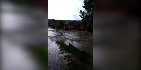 5cefff35445219c57e3f69d8 jpg