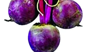 1 2 jpg jpeg