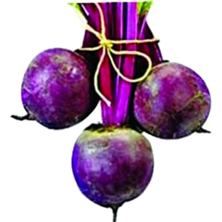 1 2 jpg jpeg