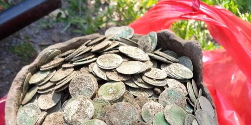 Monede vechi de 500 de ani, descoperite într o pădure din Bihor Foto Facebook DetecțieMetal Comunitatea Arheologilor Amatori din România jpg